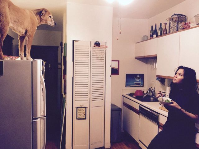 daily picdump 97 pics 41.html - 97 HD Photos | Premium Gallery 2014