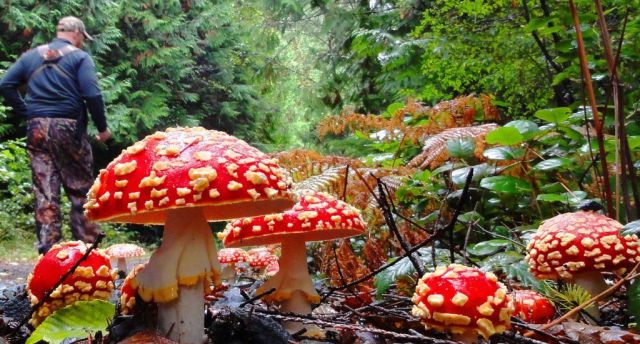 daily picdump 97 pics 41.html - 97 HD Photos | Premium Gallery 2014