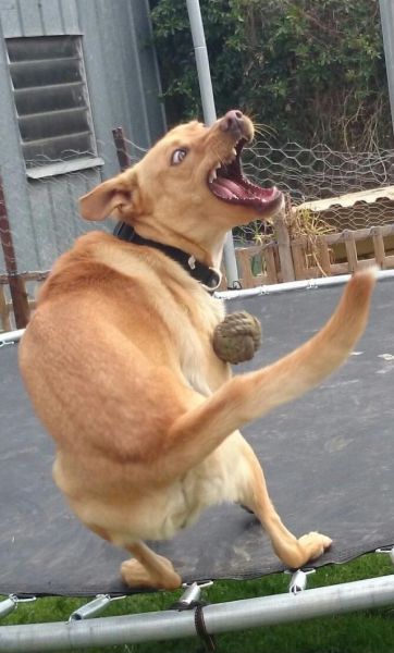 daily picdump 97 pics 41.html - 97 HD Photos | Premium Gallery 2014