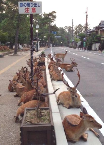 daily picdump 97 pics 41.html - 97 HD Photos | Premium Gallery 2014