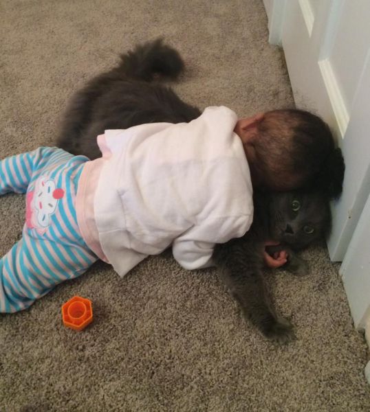 daily picdump 97 pics 41.html - 97 HD Photos | Premium Gallery 2014