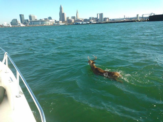 morning picdump 58 pics 45.html - 58 HD Photos | Premium Gallery 2014