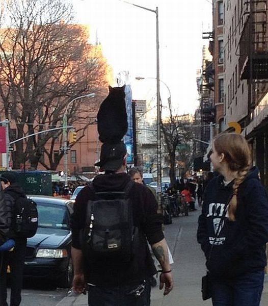 morning picdump 58 pics 45.html - 58 HD Photos | Premium Gallery 2014