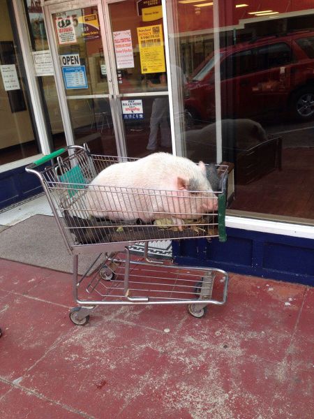 morning picdump 58 pics 45.html - 58 HD Photos | Premium Gallery 2014