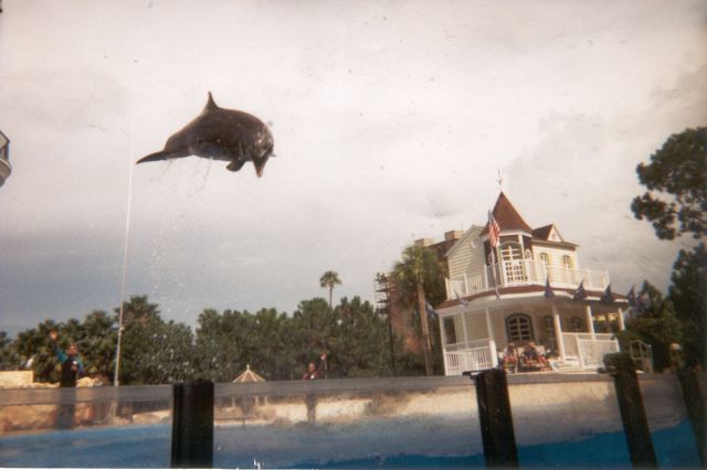 morning picdump 58 pics 45.html - 58 HD Photos | Premium Gallery 2014