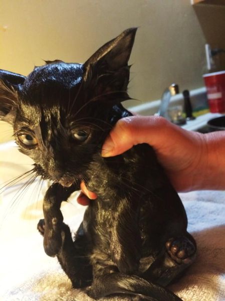 daily picdump 96 pics 1.html - 96 HD Photos | Premium Gallery 2014