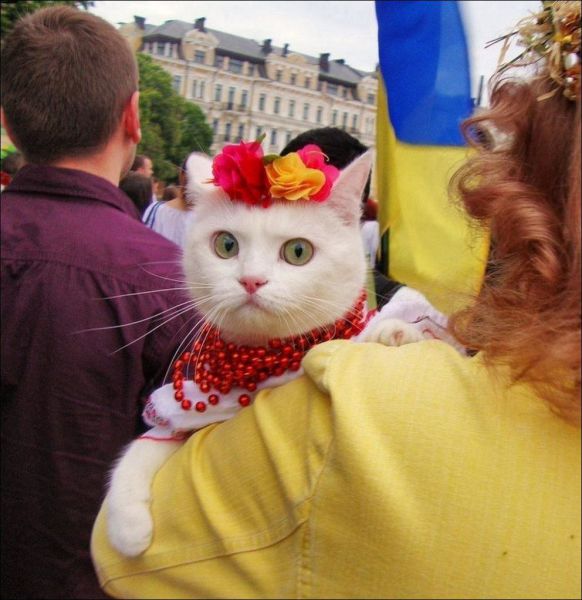 daily picdump 96 pics 1.html - 96 HD Photos | Premium Gallery 2014