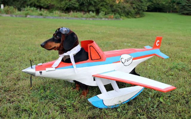 daily picdump 96 pics 1.html - 96 HD Photos | Premium Gallery 2014