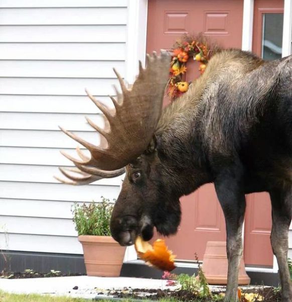 daily picdump 96 pics 1.html - 96 HD Photos | Premium Gallery 2014