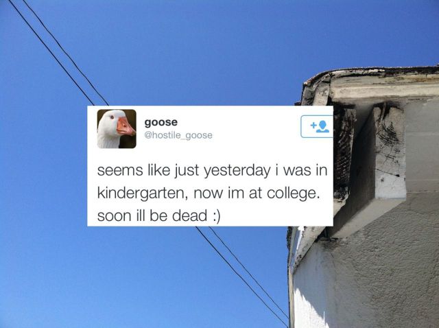 daily picdump 96 pics 1.html - 96 HD Photos | Premium Gallery 2014