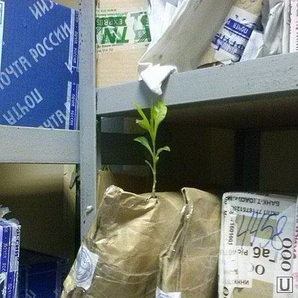 daily picdump 96 pics 1.html - 96 HD Photos | Premium Gallery 2014