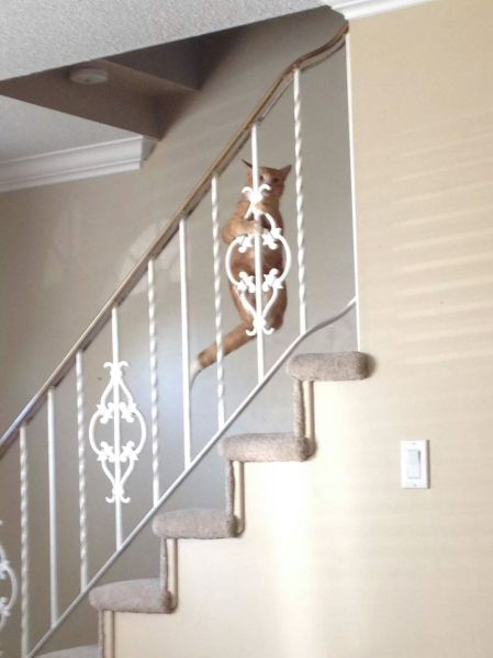 morning picdump 51 pics 21.html - 51 HD Photos | Premium Gallery 2014