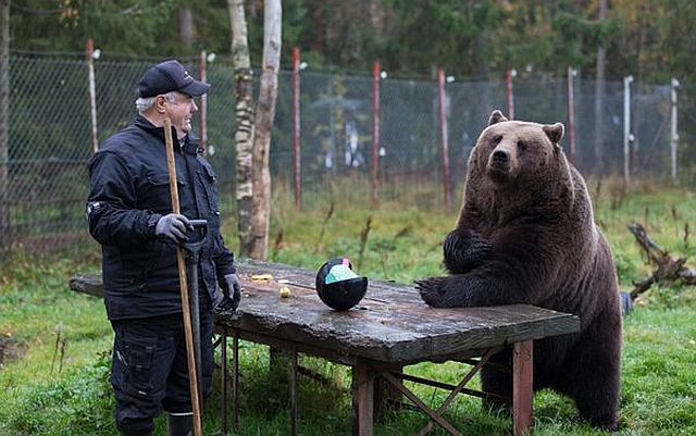 daily picdump 92 pics 4.html - 92 HD Photos | Premium Gallery 2014