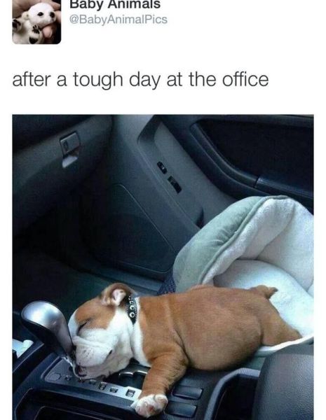 daily picdump 92 pics 4.html - 92 HD Photos | Premium Gallery 2014