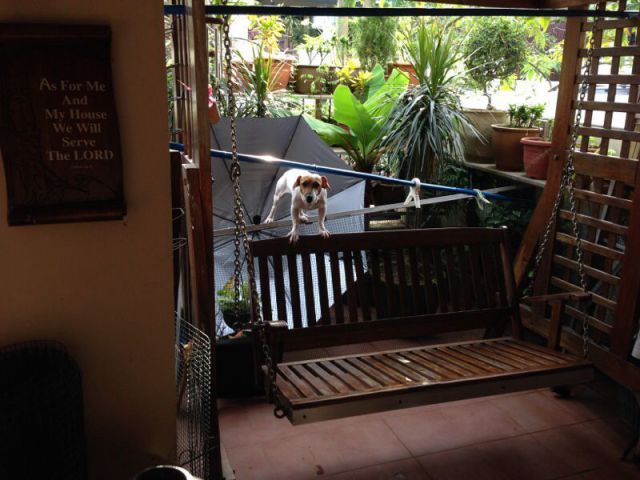 daily picdump 92 pics 4.html - 92 HD Photos | Premium Gallery 2014