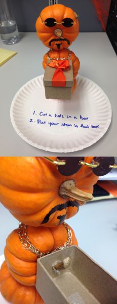 daily picdump 92 pics 4.html - 92 HD Photos | Premium Gallery 2014