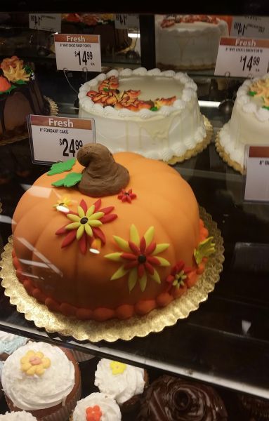 daily picdump 92 pics 4.html - 92 HD Photos | Premium Gallery 2014