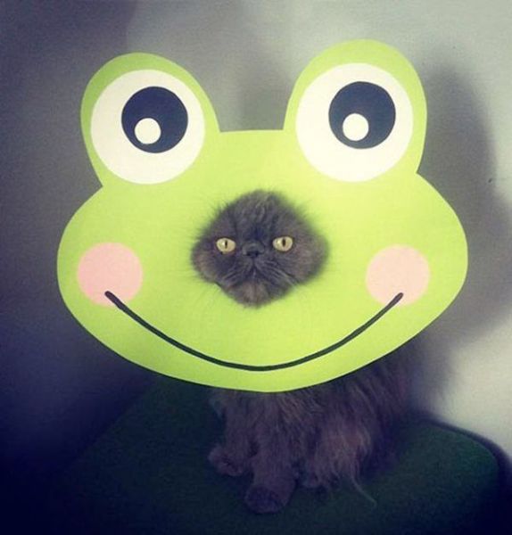 morning picdump 58 pics 16.html - 58 HD Photos | Premium Gallery 2014