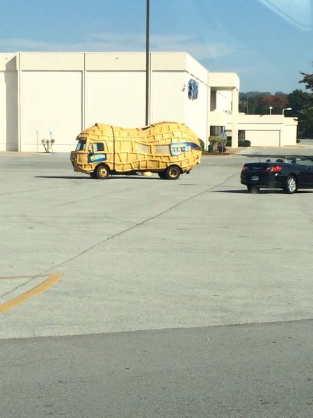 morning picdump 56 pics 18.html - 56 HD Photos | Premium Gallery 2014