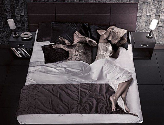 morning picdump 56 pics 18.html - 56 HD Photos | Premium Gallery 2014