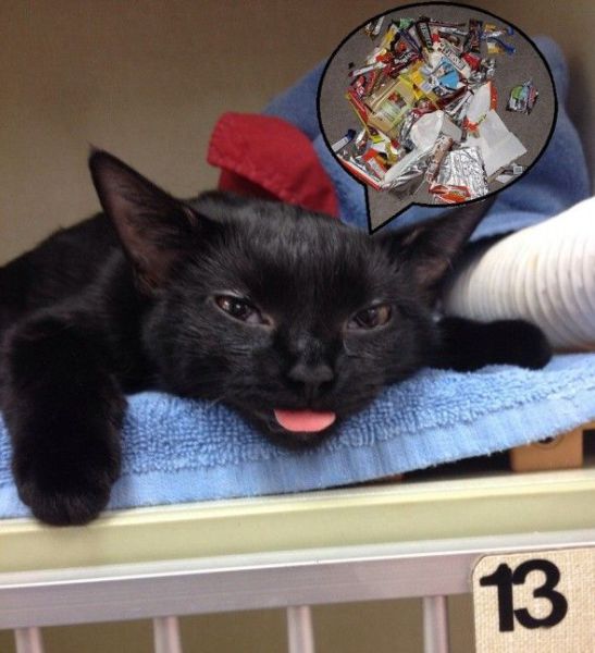 morning picdump 56 pics 18.html - 56 HD Photos | Premium Gallery 2014