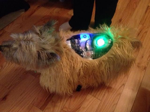 morning picdump 56 pics 18.html - 56 HD Photos | Premium Gallery 2014