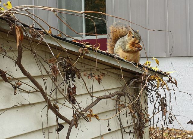 morning picdump 56 pics 18.html - 56 HD Photos | Premium Gallery 2014