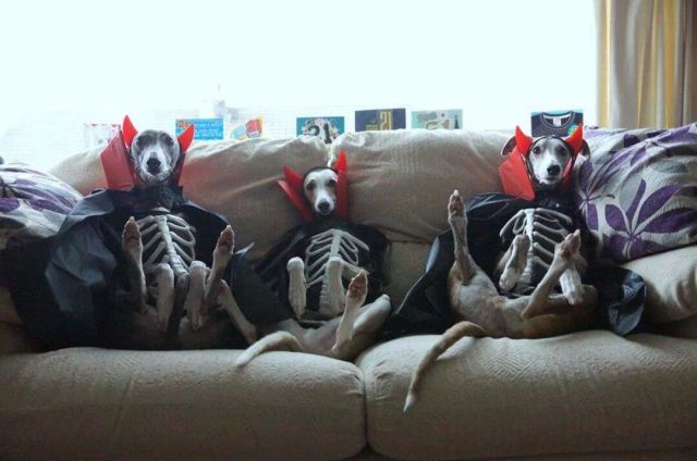 morning picdump 52 pics 16.html - 52 HD Photos | Premium Gallery 2014