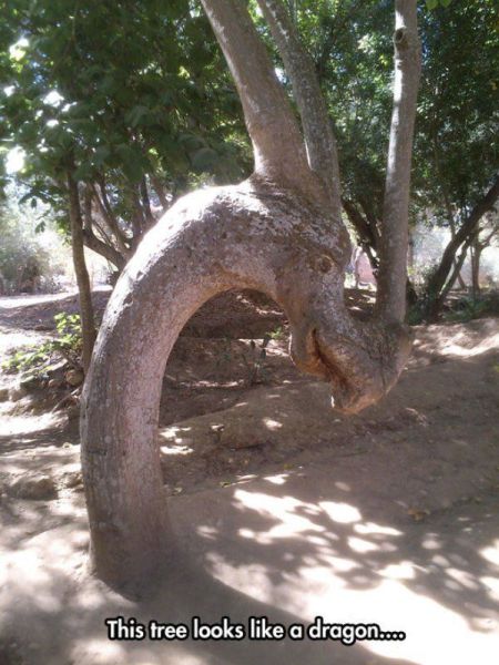 morning picdump 52 pics 16.html - 52 HD Photos | Premium Gallery 2014