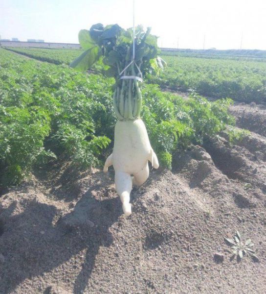 morning picdump 52 pics 16.html - 52 HD Photos | Premium Gallery 2014