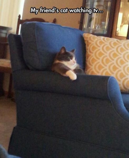 morning picdump 52 pics 16.html - 52 HD Photos | Premium Gallery 2014