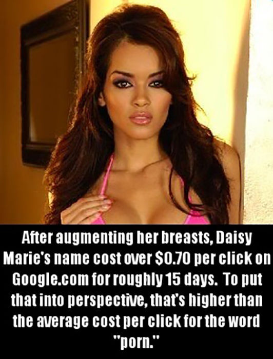Silly Truths about Adult Film Stars