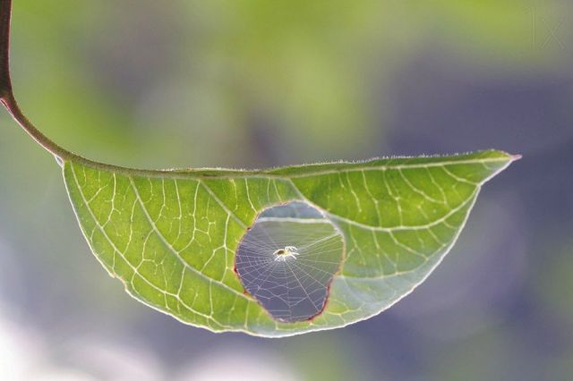 Daily Picdump [WEEKEND EDITION]