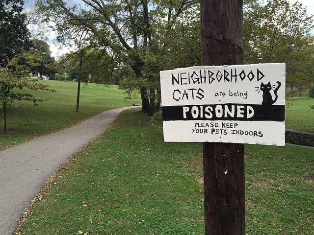 Daily Picdump [WEEKEND EDITION]