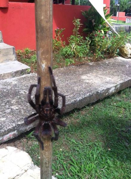 daily picdump weekend edition 65 pics 4.html - 65 HD Photos | Premium Gallery 2014