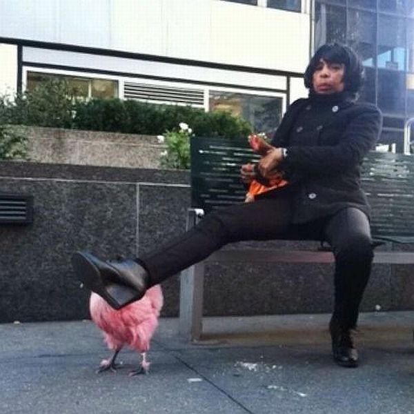 daily picdump weekend edition 65 pics 4.html - 65 HD Photos | Premium Gallery 2014