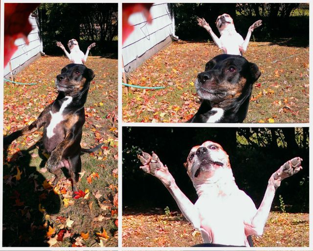 morning picdump 57 pics 1.html - 57 HD Photos | Premium Gallery 2014