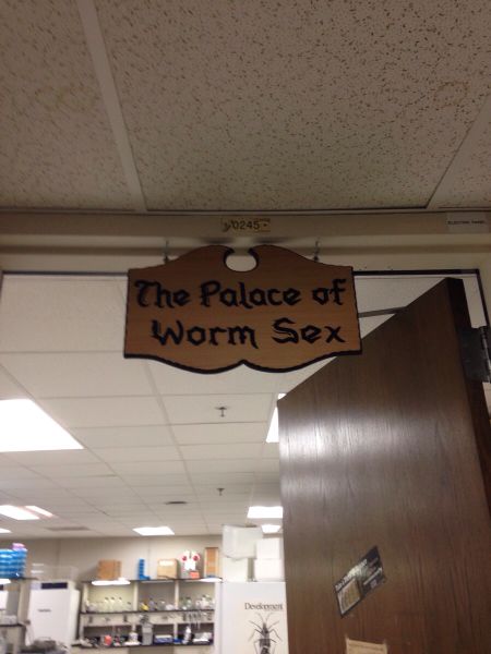 morning picdump 57 pics 1.html - 57 HD Photos | Premium Gallery 2014