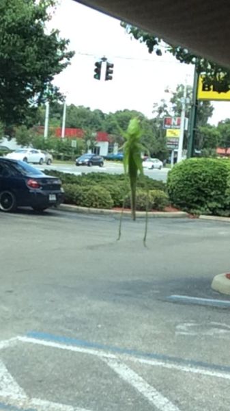 These Were Taken at the Right Angle