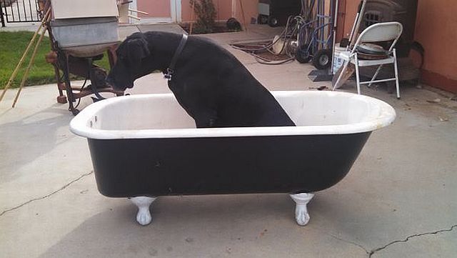 morning picdump 53 pics 31.html - 53 HD Photos | Premium Gallery 2014