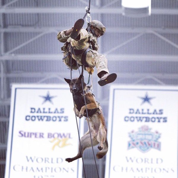 morning picdump 53 pics 31.html - 53 HD Photos | Premium Gallery 2014