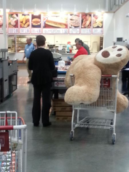 morning picdump 57 pics 43.html - 57 HD Photos | Premium Gallery 2014