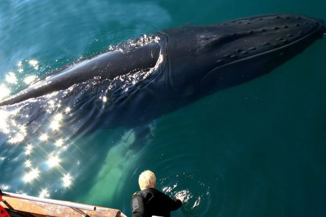 morning picdump 57 pics 43.html - 57 HD Photos | Premium Gallery 2014