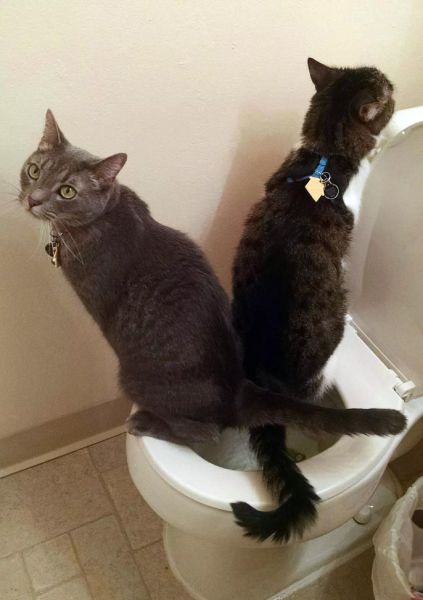 morning picdump 57 pics 43.html - 57 HD Photos | Premium Gallery 2014