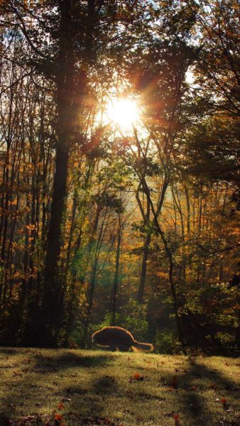 morning picdump 57 pics 43.html - 57 HD Photos | Premium Gallery 2014