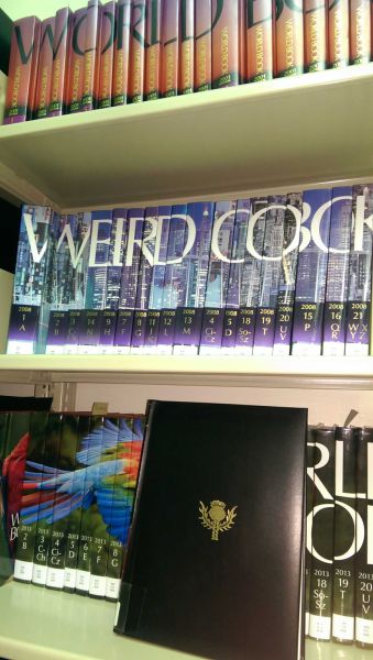 morning picdump 57 pics 43.html - 57 HD Photos | Premium Gallery 2014