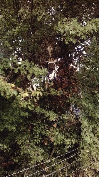 morning picdump 53 pics 15.html - 53 HD Photos | Premium Gallery 2014