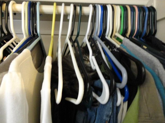 morning picdump 53 pics 15.html - 53 HD Photos | Premium Gallery 2014