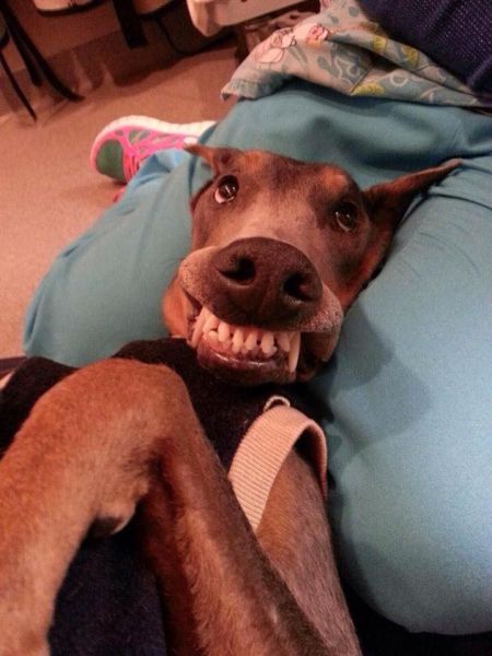 morning picdump 53 pics 15.html - 53 HD Photos | Premium Gallery 2014