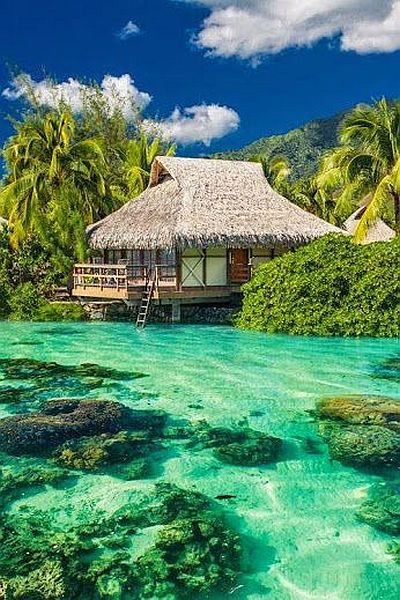 morning picdump 53 pics 15.html - 53 HD Photos | Premium Gallery 2014